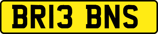 BR13BNS