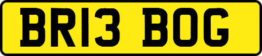 BR13BOG