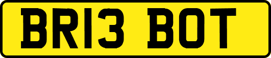 BR13BOT