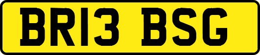 BR13BSG