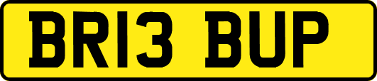 BR13BUP