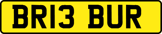 BR13BUR