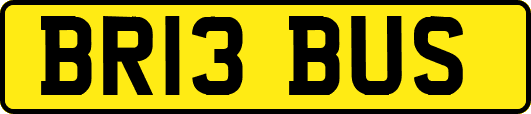 BR13BUS