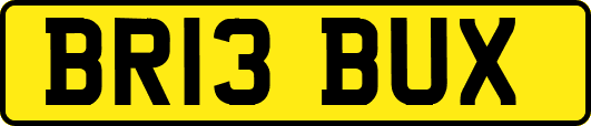 BR13BUX