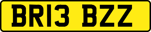 BR13BZZ