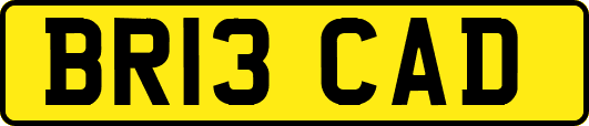 BR13CAD