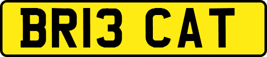 BR13CAT