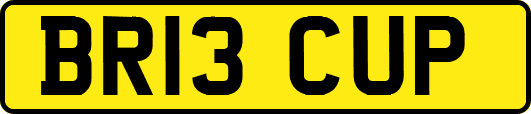 BR13CUP
