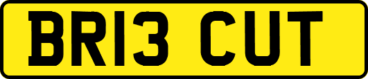 BR13CUT
