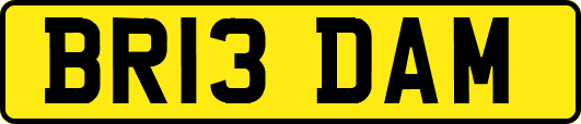BR13DAM