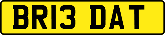 BR13DAT