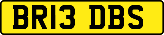 BR13DBS