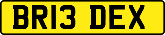 BR13DEX