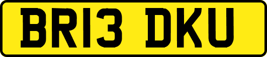 BR13DKU