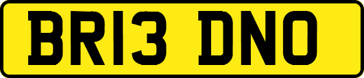 BR13DNO
