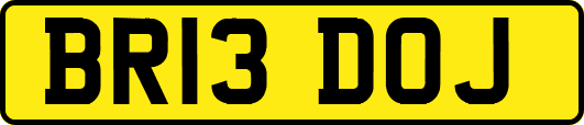 BR13DOJ