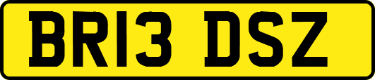 BR13DSZ