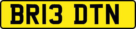 BR13DTN