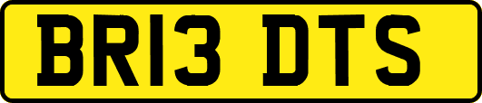 BR13DTS