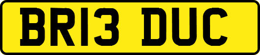 BR13DUC
