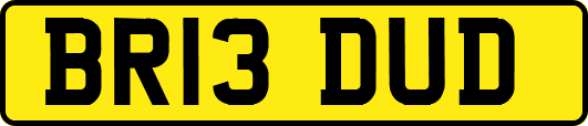 BR13DUD