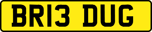 BR13DUG