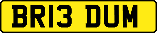 BR13DUM