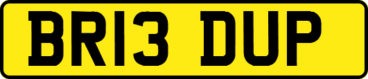 BR13DUP