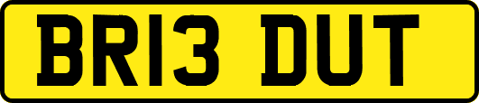 BR13DUT