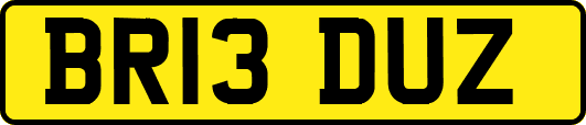 BR13DUZ