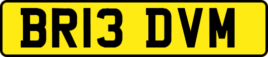 BR13DVM