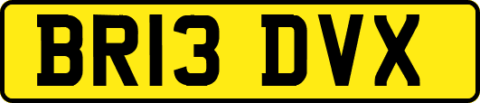 BR13DVX