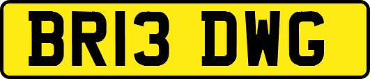 BR13DWG