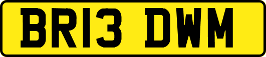 BR13DWM