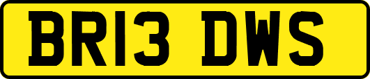 BR13DWS