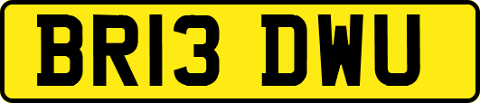 BR13DWU