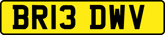 BR13DWV