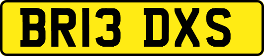 BR13DXS