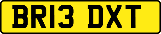 BR13DXT