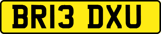 BR13DXU