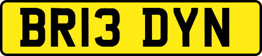 BR13DYN