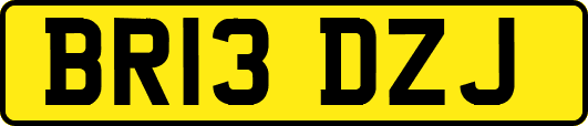 BR13DZJ