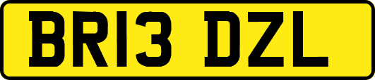 BR13DZL