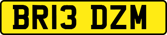 BR13DZM