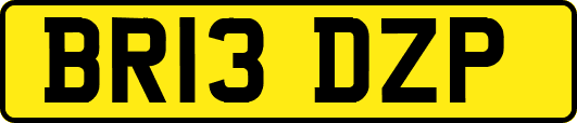 BR13DZP