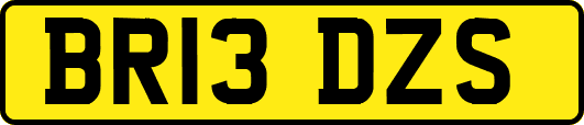 BR13DZS