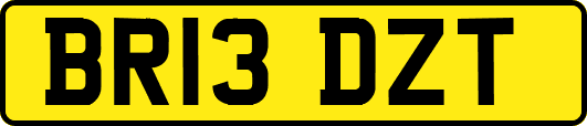 BR13DZT