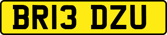 BR13DZU