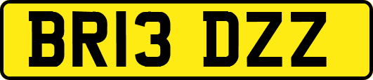 BR13DZZ