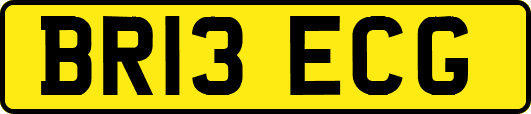 BR13ECG